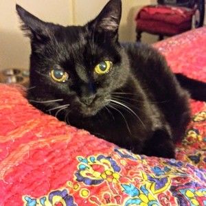 Meet your Posher, Leigh